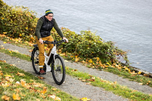 Is 10.000 km veel voor een elektrische fiets?